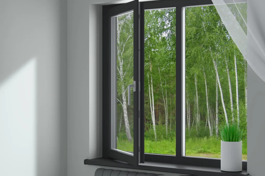 Fenêtre en alu noir